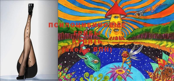 прущие крисы Балахна