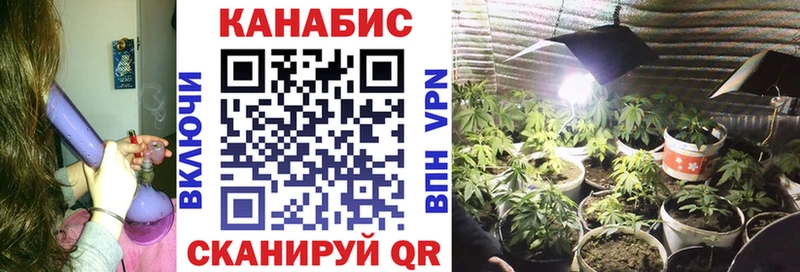 Канабис семена  где можно купить   hydra   Высоцк 